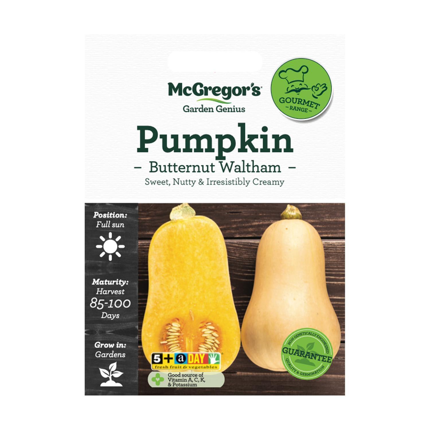 Pumpkin Butternt Waltham​ Vegetable Seed