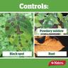 Fungicide Fungus Gun Ready To Use