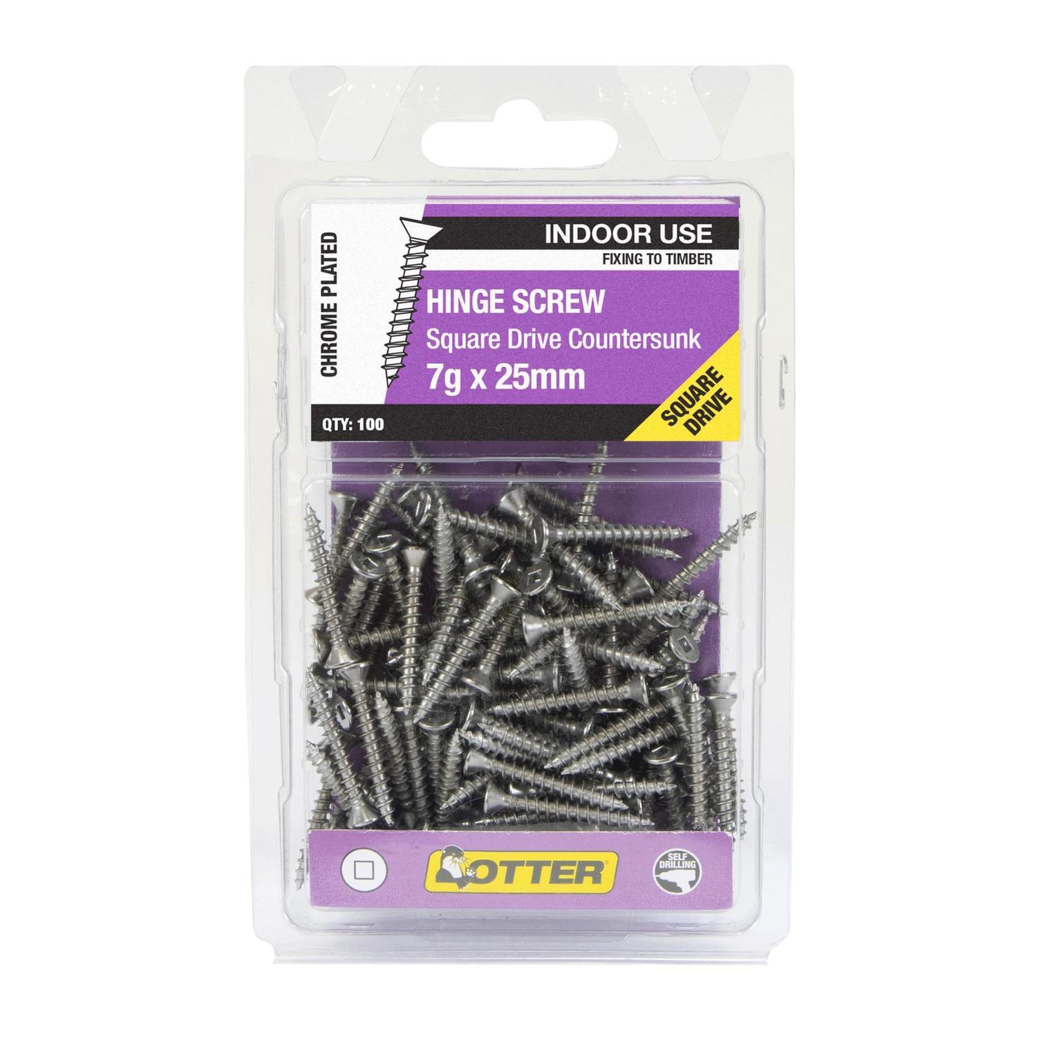Hinge Screws