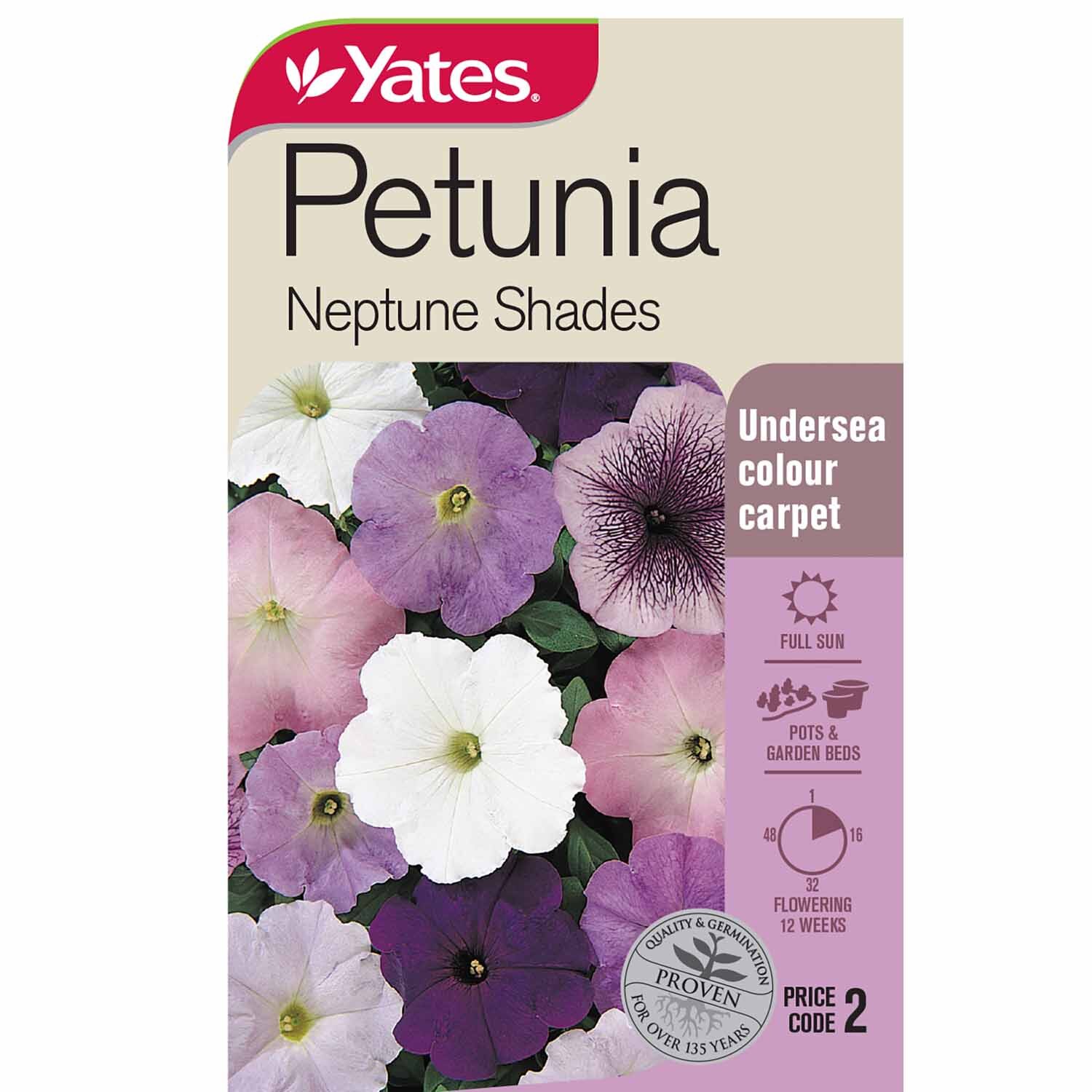 Petunia 'Neptune Shades'