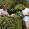 36 Volts Cordless Hedge Trimmer, 540 mm, Without Battery (AdvancedHedgeCut 36)