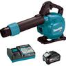 XGT 40 V Max Blower Vacuum Kit 4.0 Ah