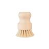 ECO Dish Scrubber 55 x 85 x 55mm