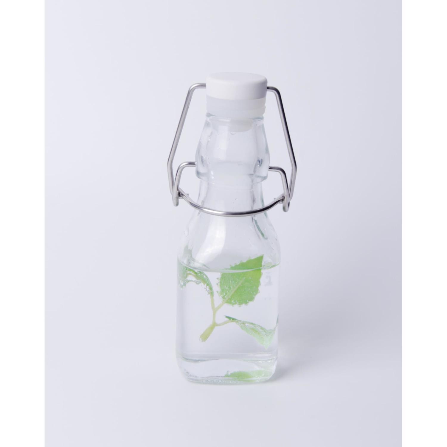 Preserving Bottle Swing Clip 125ml