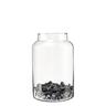 TERRARIUM GLASS JAR