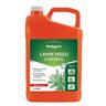 Lawn Weed Control