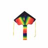 Rainbow Delta Kite with Tail