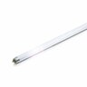 Light Bulb 54 Watt Cool White