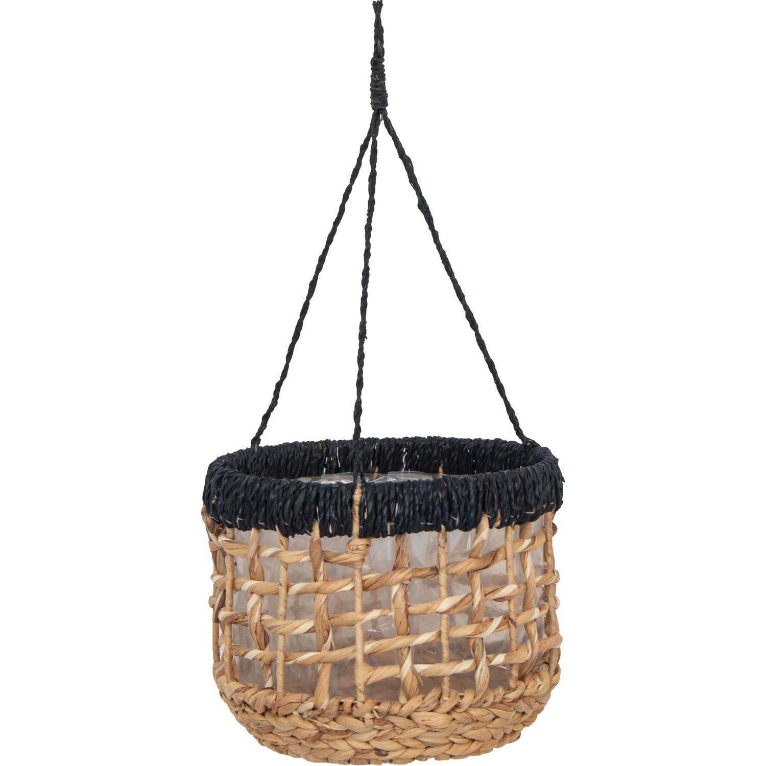 Bang Leaf Hanging Indoor Pot