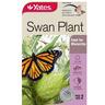 Flower Seed Swan Plant