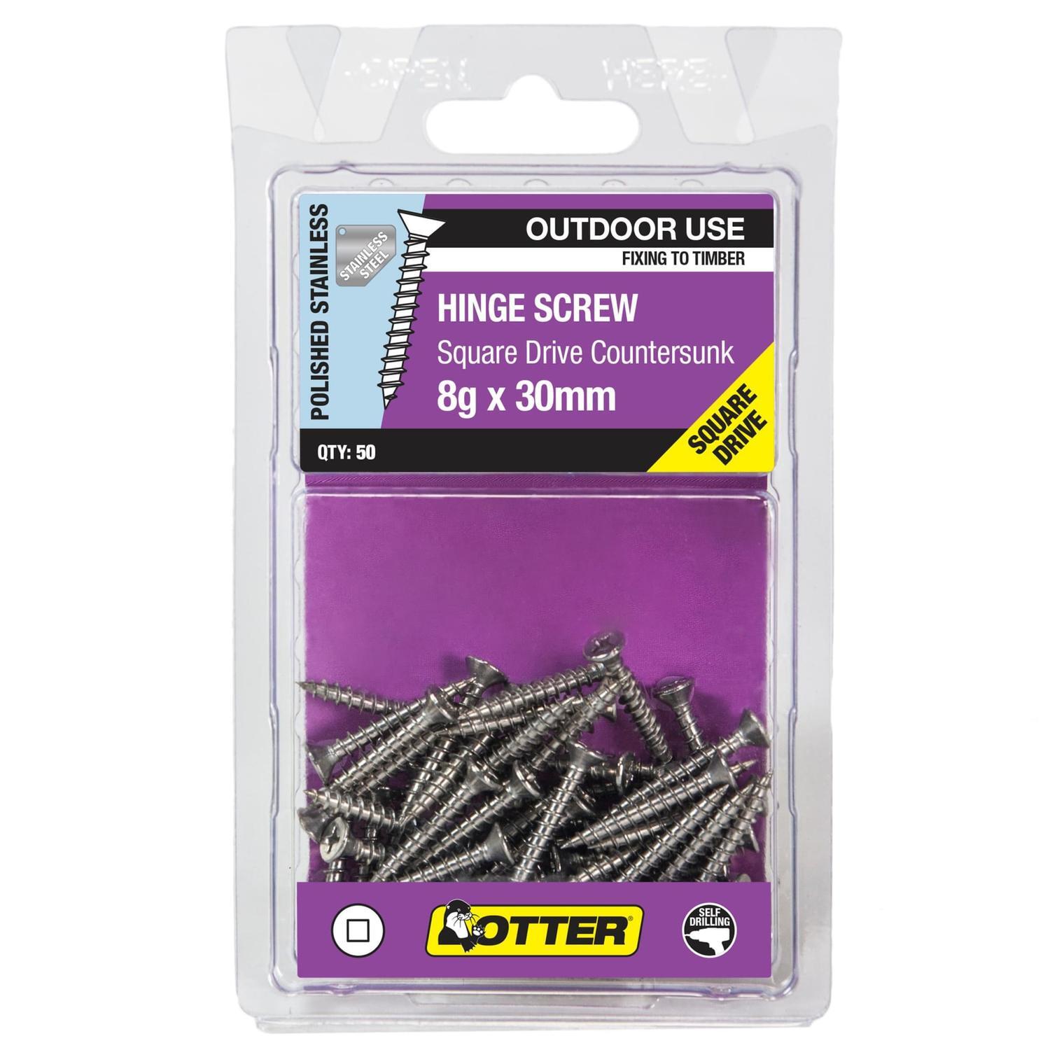 Hinge Screws