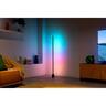 Entertainment Floor Pole Light 40W Black