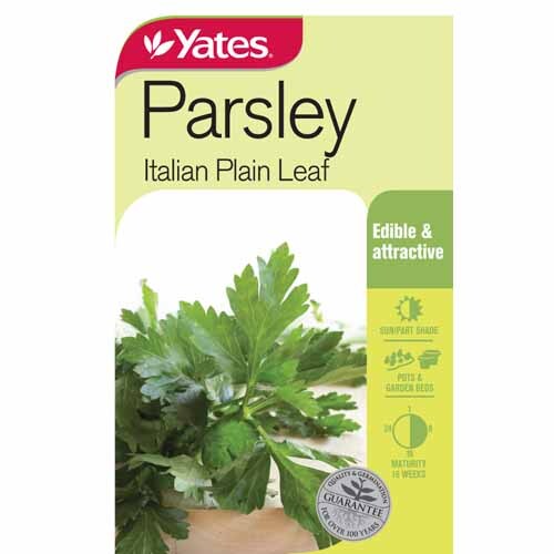 Parsley Italian Plain Leaf