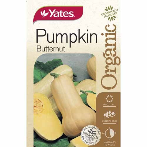 Pumpkin Butternut  Organic