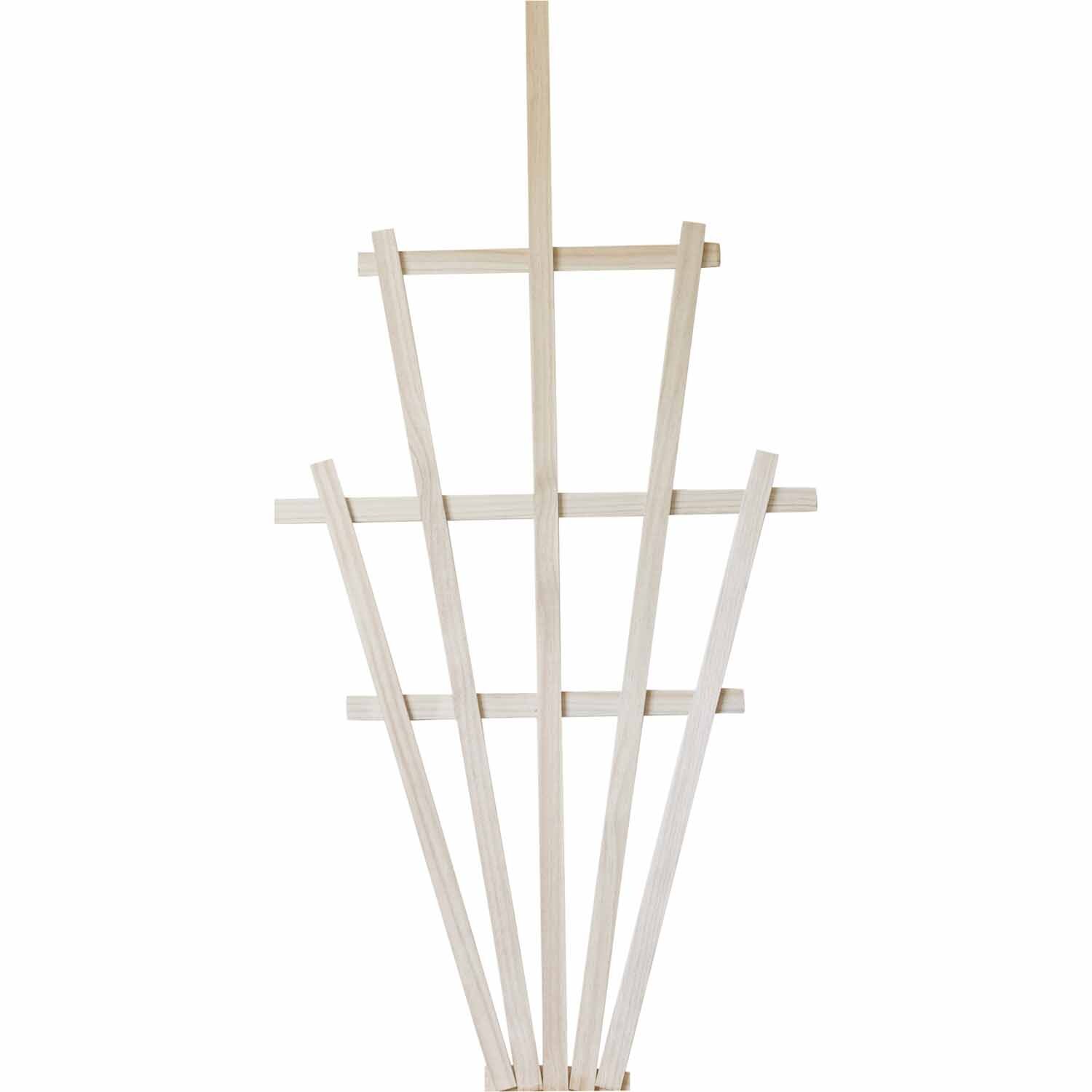 Fan Trellis