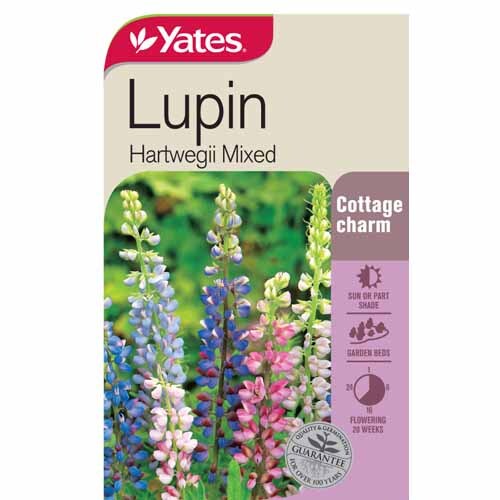 Lupin Hartwegii Mixed