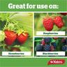 Liquid Fertiliser Strawberry & Berry Concentrate