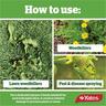 Garden Pressure Sprayer