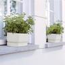 Plastic Trough with Saucer White 50cm