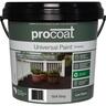 Universal Paint