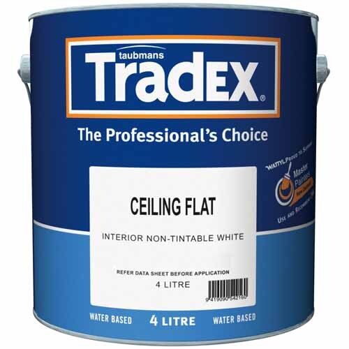 Ceiling Paint
