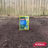Yates Lawn Seed Kikuyu 1kg