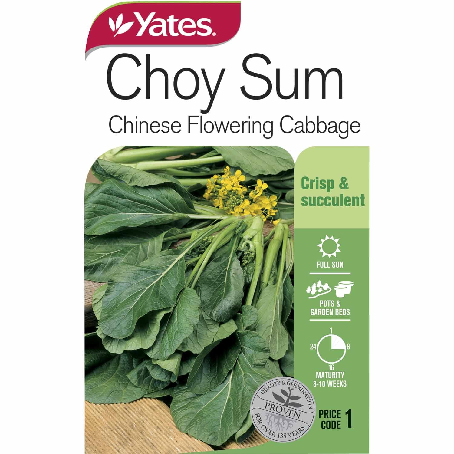 Choy Sum (Chinese flowering cabbage)