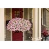 Petunia Pink Star Charm