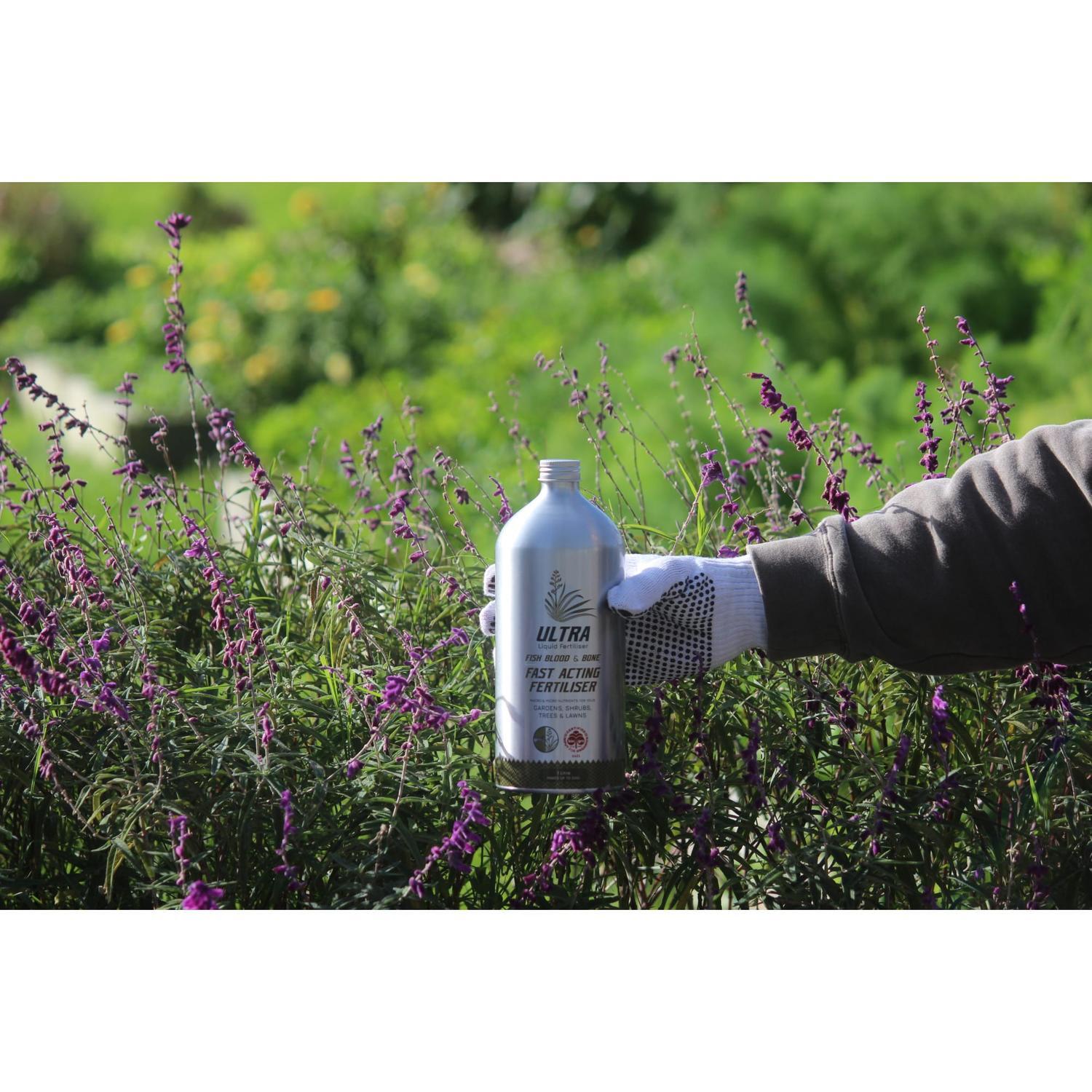 Liquid Fish Fertiliser 1 litre