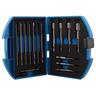 Driver Bit Set 15 PCE 100mm