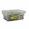 Treated Pine Screws 8g x 30mm Pack of 500 Galvanised