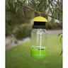 Fly Trap