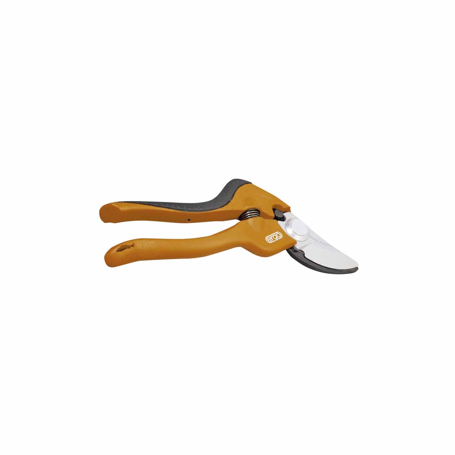 Secateurs