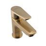 Basin Mixer  Brushed Gold