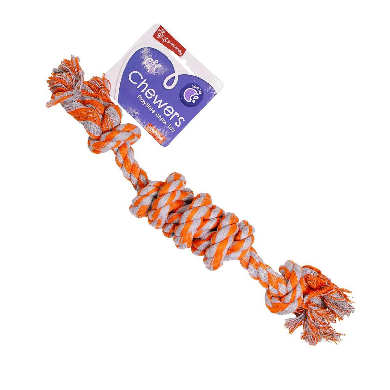 Rope Power and Play Dog Toy