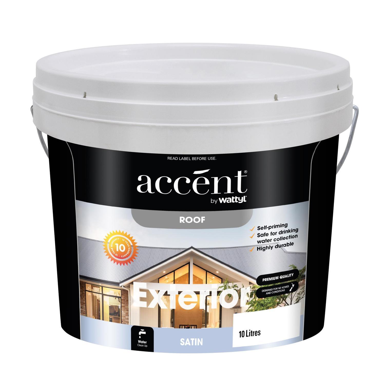 Roof Paint Satin