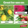 Citrus, Vegie & Ornamental Insect Spray