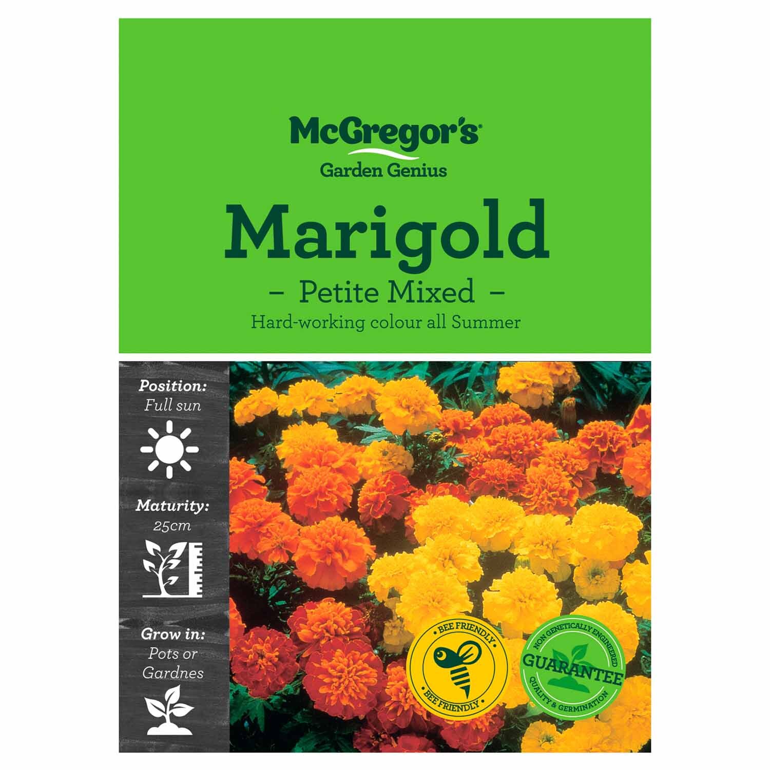 Petite Mixed Marigold  Flower Seed