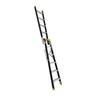 Dual Purpose Ladder
