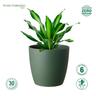 Recycled Plastic Elm Pot 11cm Forest Green  Forest Green