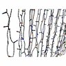Low Voltage Bud String Lights 500 LED 50m Multicolour Low Voltage Bud String Lights 500 LED 50m Multicolour