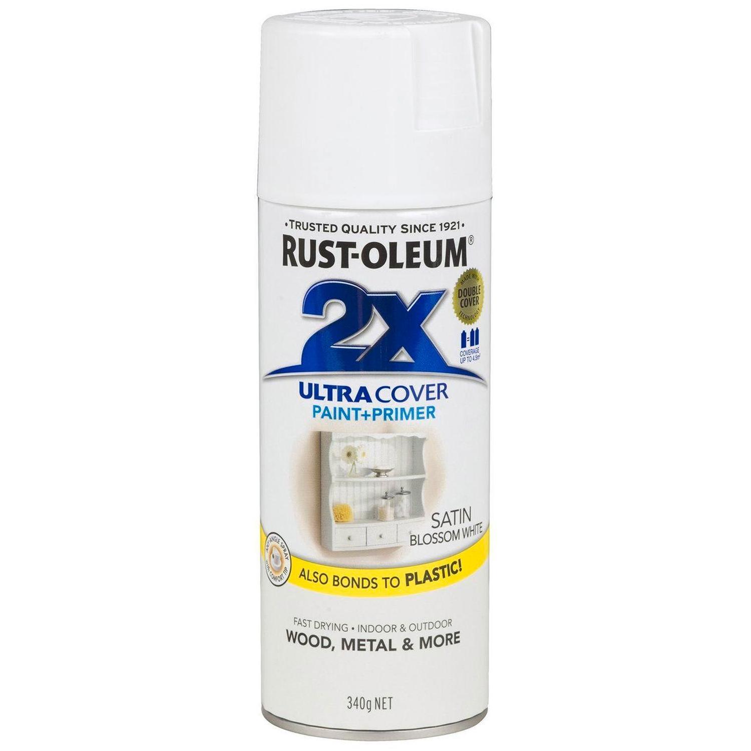 Satin Spray Paint & Primer