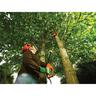 800W 25cm Electric Pole Saw