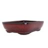 Bonsai Pot