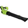 Blower 21 Volt Green & Black