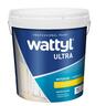 Interior Satin Paint