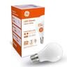 LED Classic Opal Glass GLS
