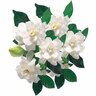 Gardenia Four Seasons