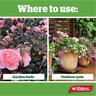 Rose & Flower Fertiliser