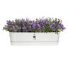 Plastic Trough with Saucer White 70cm
